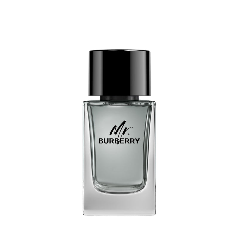 Burberry | Mr Burberry Eau De Toilette